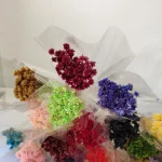 20g 꽃 꽃다발 진짜 말린 꽃 꽃다발 작은 산 꽃 표본 꽃 DIY 재료 홈 테이블 꽃 자연 - 이미지 3