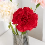 1/5/10pcs 60cm 흰색 시뮬레이션 꽃 단일 헤드 대형 꽃 카네이션 실크 천 가짜 꽃 홈 인테리어 배열 - 이미지 3