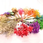 천연 건조 부케, 베이비 브레스 브레스, 신선한 미니 드라이 플라워 프레스, 홈 웨딩 파티 장식, 도매 - 이미지 3