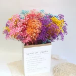 천연 신선한 말린 보존 꽃, Gypsophila Paniculata, 아기의 호흡 꽃다발, 결혼식 장식, 가정 장식을위한 선물 - 이미지 4