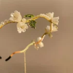 릴리 오브 더 밸리 진주 머리띠, 모리 요정 머리띠, 여름 헤어 액세서리, 패션 헤드기어 - 이미지 4