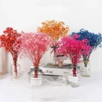 천연 신선한 말린 보존 꽃, Gypsophila Paniculata, 아기의 호흡 꽃다발, 결혼식 장식, 가정 장식을위한 선물