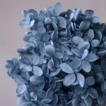 보존 된 수국 꽃 Paniculata 타원형 잎 DIY 재료 홈 웨딩 사무실 장식 크리스탈 접착제 꽃 향기로운 양초 - 이미지 3