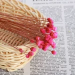 웨딩 장식 DIY 공예 작은 식물 줄기 자연 건조 꽃 부케, 실제 꽃 신선한 건조 보존 꽃 건조 꽃 - 이미지 3